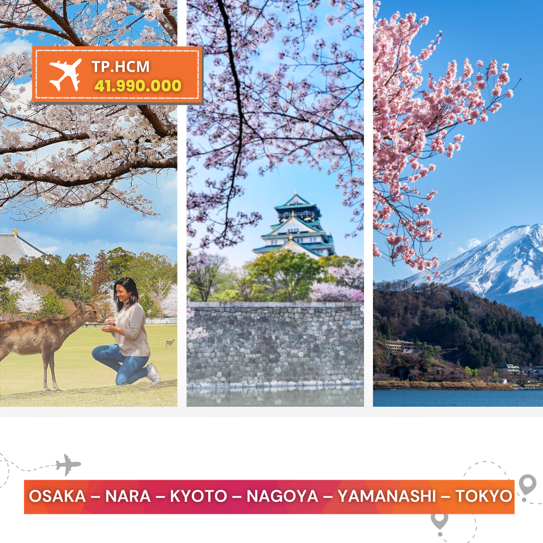 ẢNH BÌA TOUR TRỌN GÓI WEB (38)