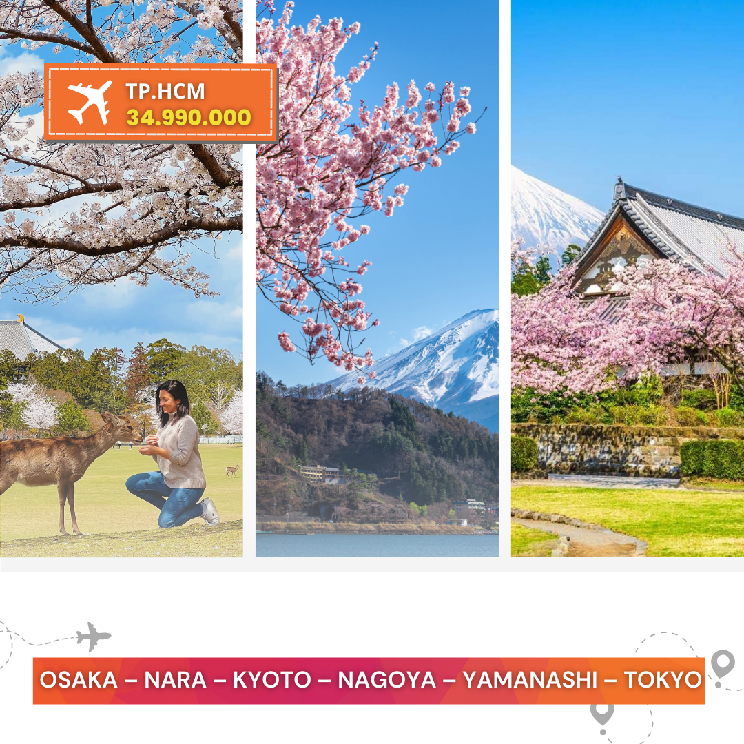 ẢNH BÌA TOUR TRỌN GÓI WEB (39)